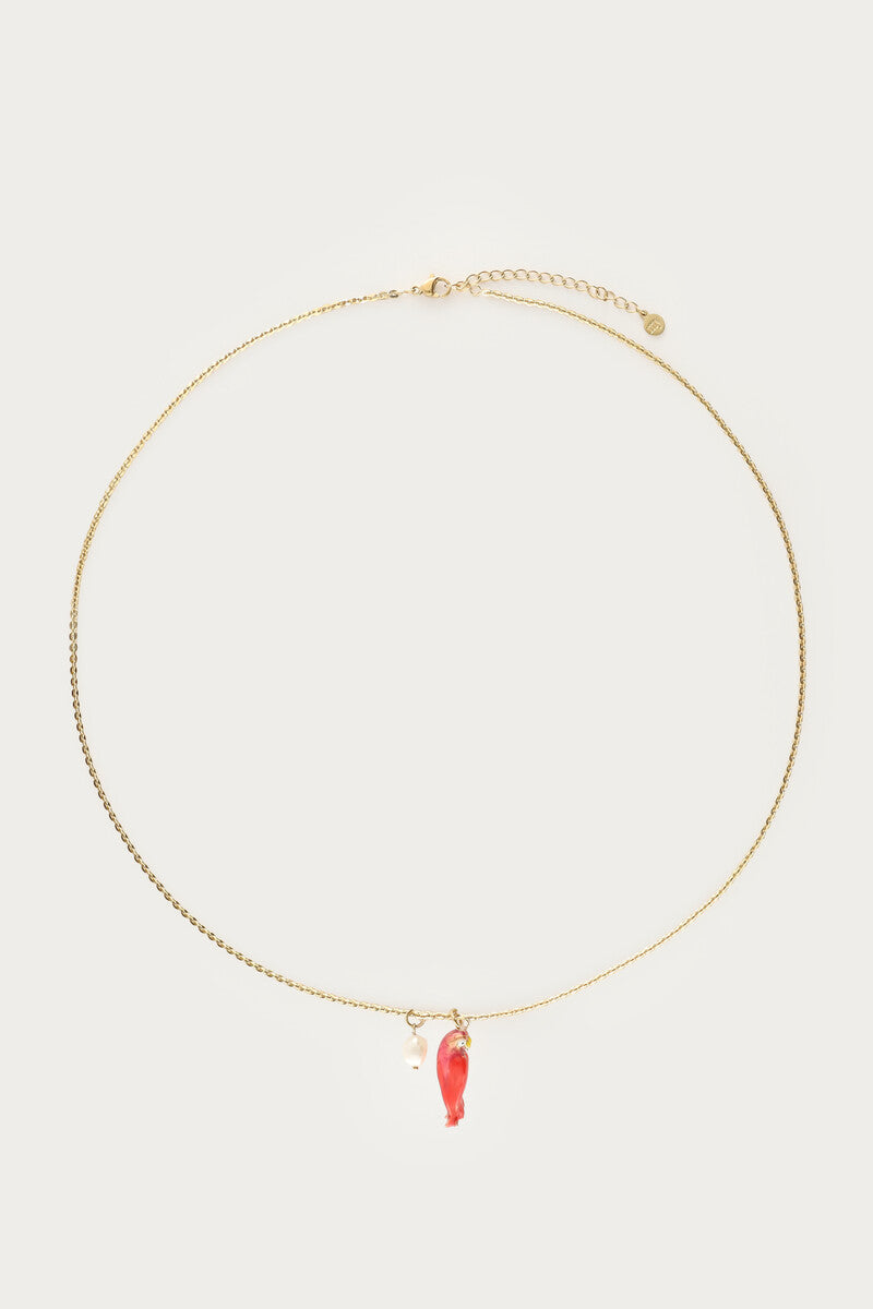 COLLAR PEARL PARROT