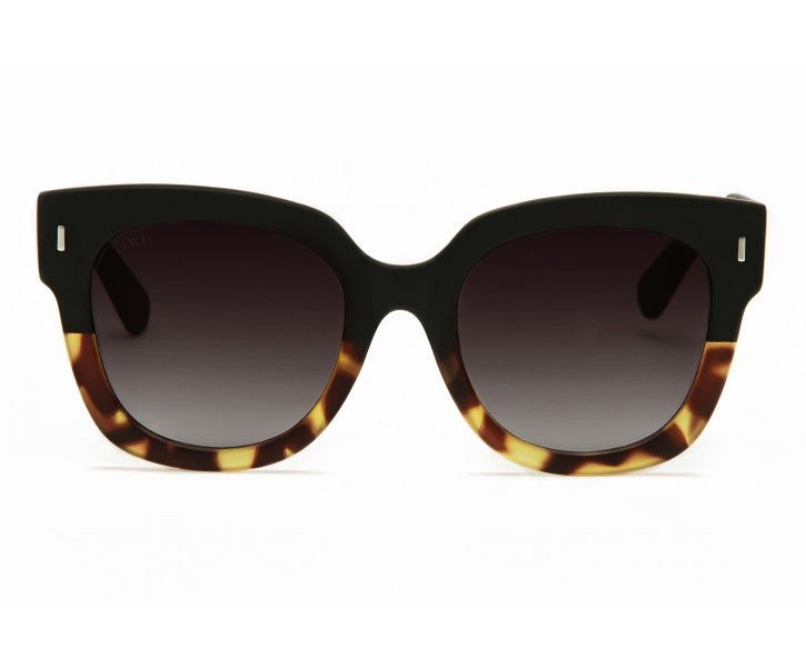 KERR BICOLOR TORTOISE/BLACK - Sister Birkin